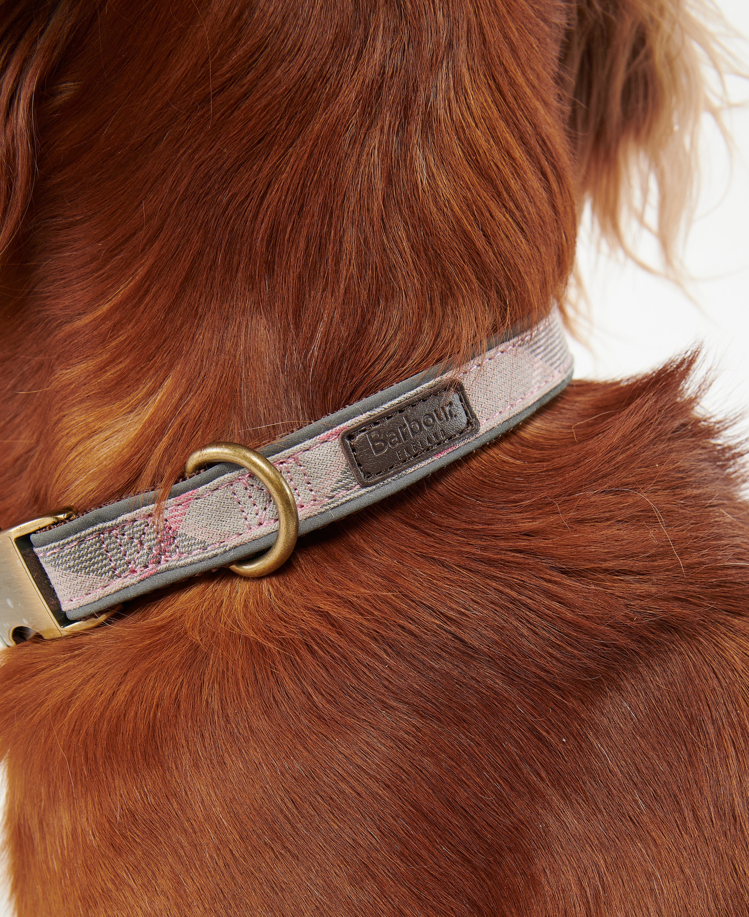 Reflective Tartan Dog Collar - Image 15