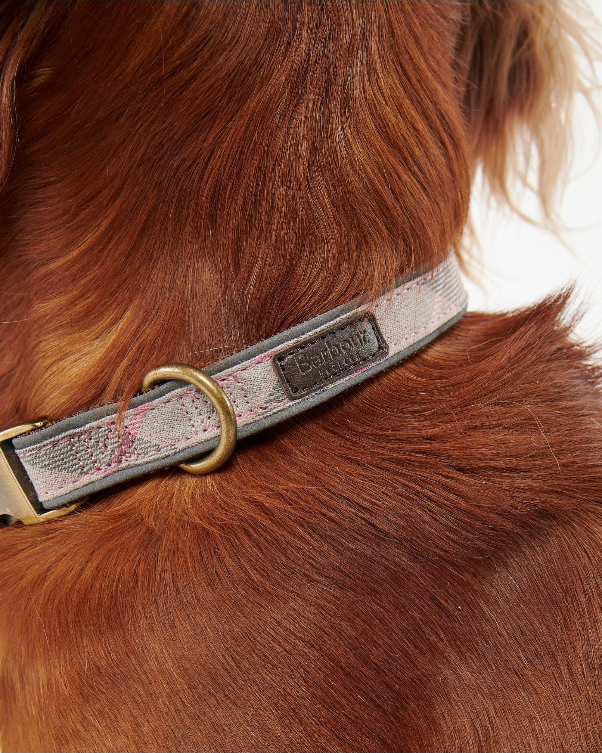 Reflective Tartan Dog Collar - Image 5