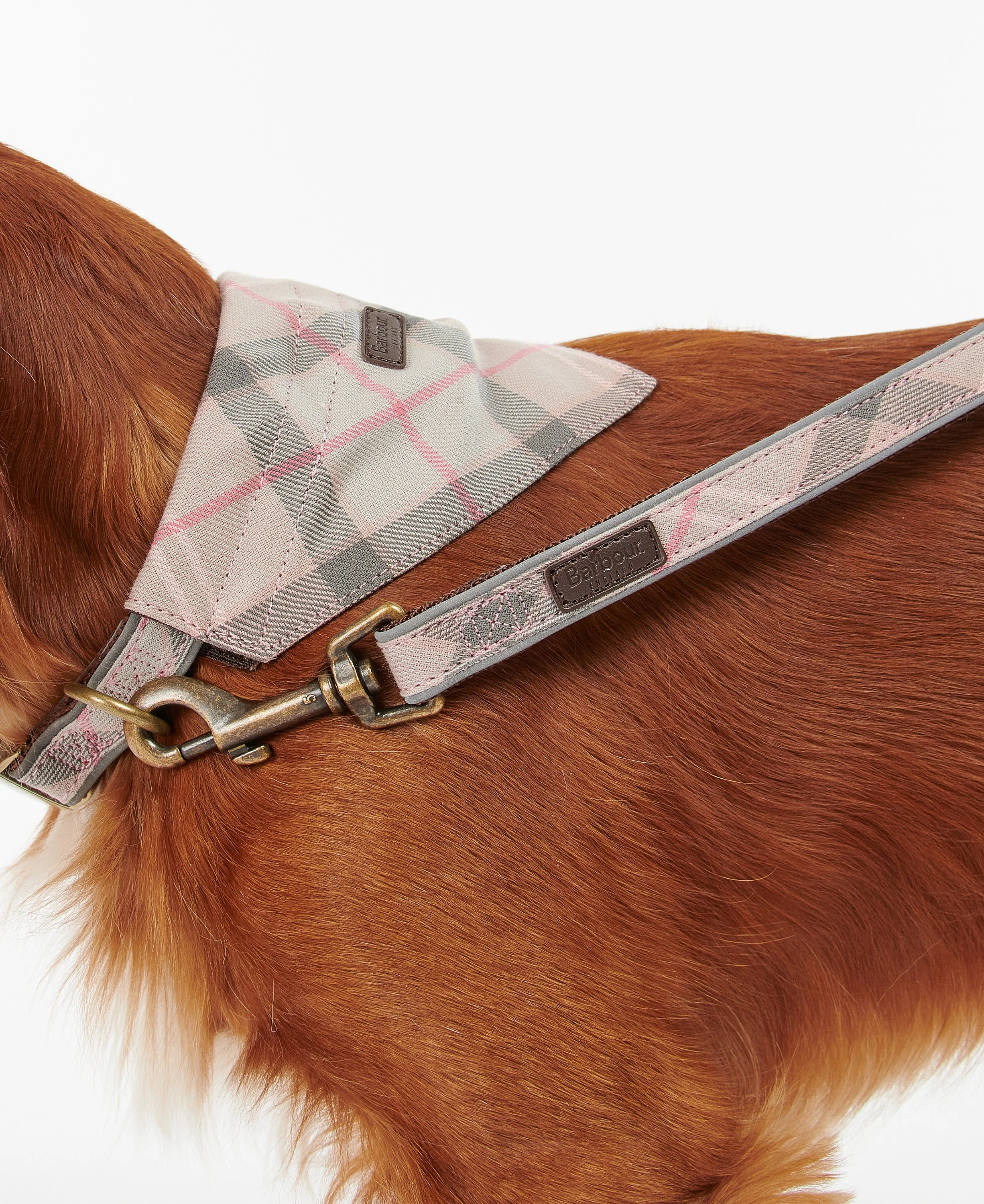 Barbour Reflective Tartan Dog Lead - Image 17