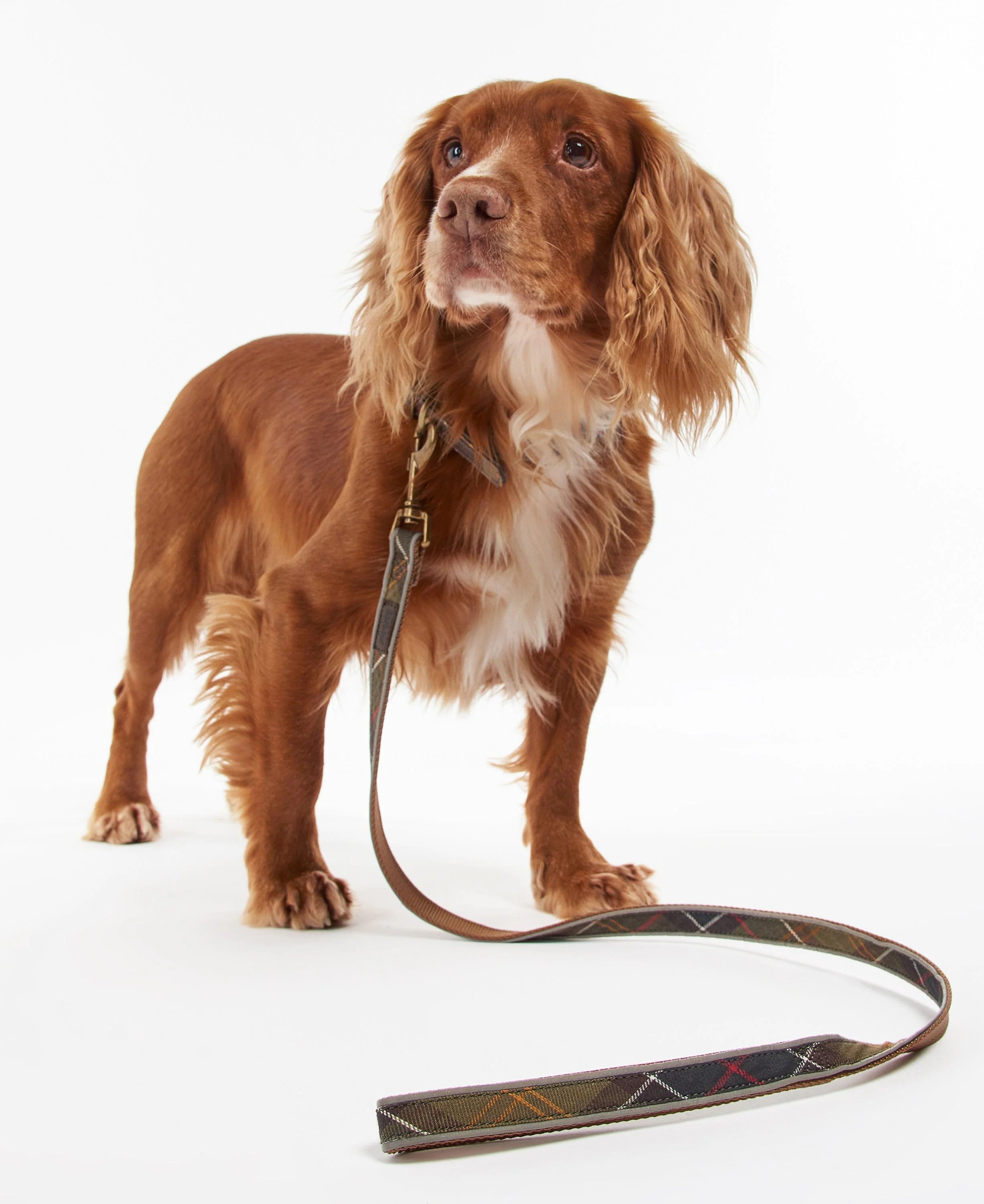Barbour Reflective Tartan Dog Lead - Image 22