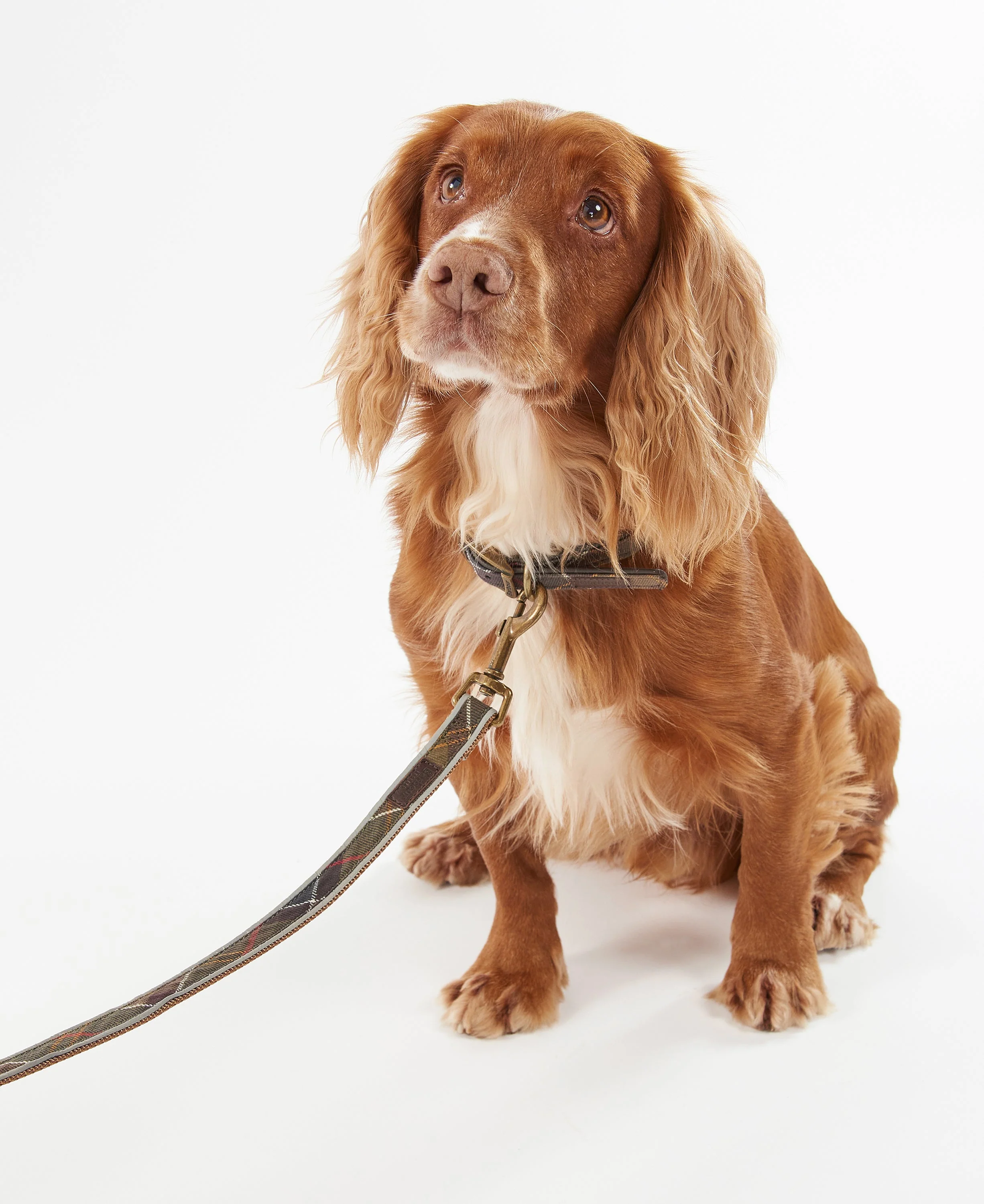 Barbour Reflective Tartan Dog Lead - Image 26