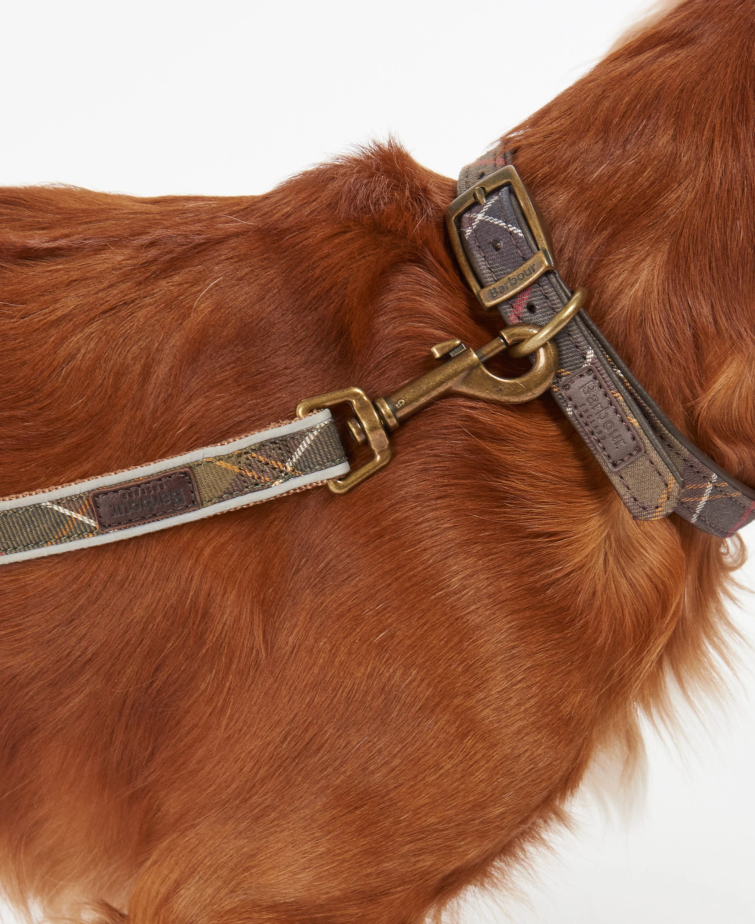 Barbour Reflective Tartan Dog Lead - Image 27