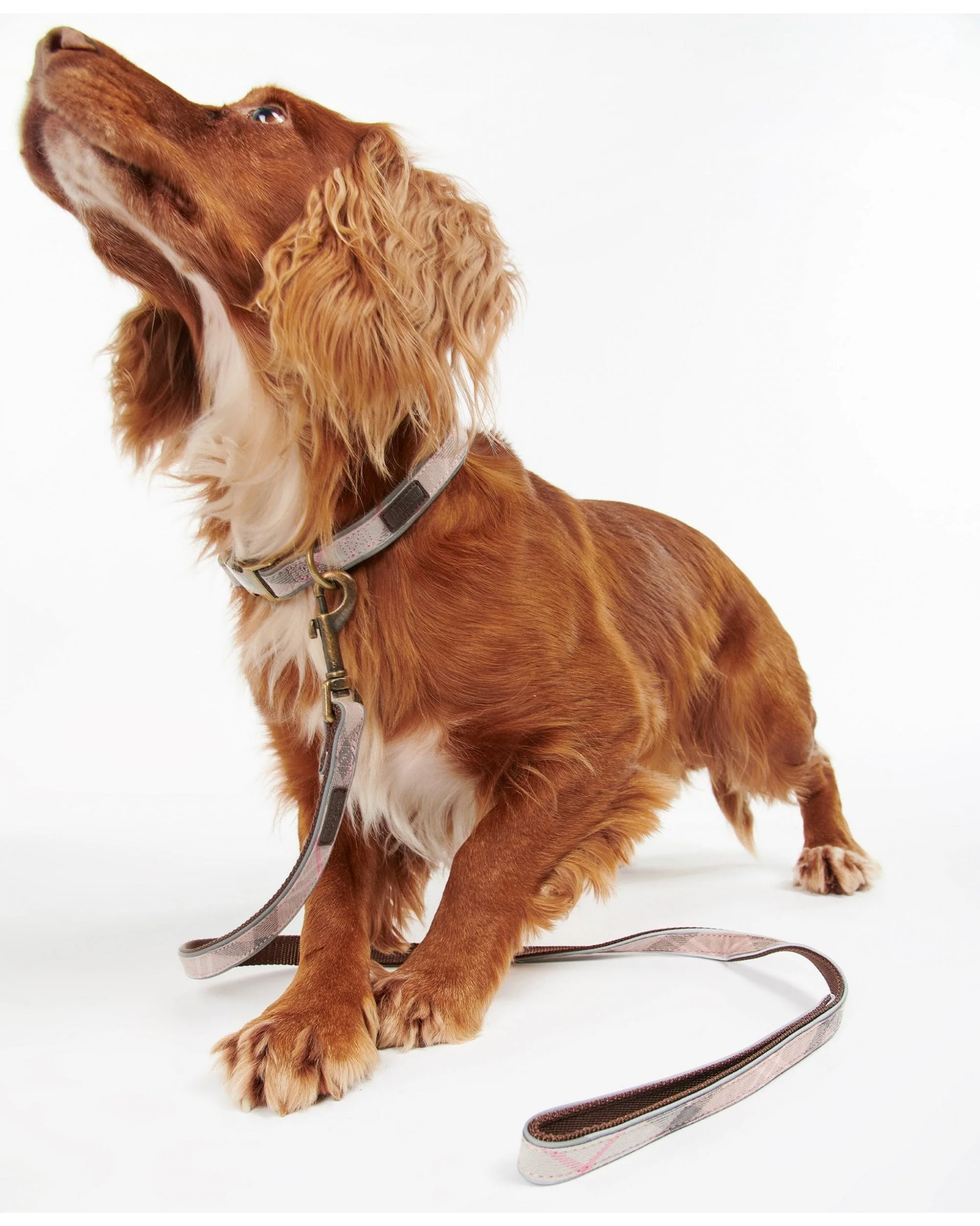 Barbour Reflective Tartan Dog Lead - Image 5