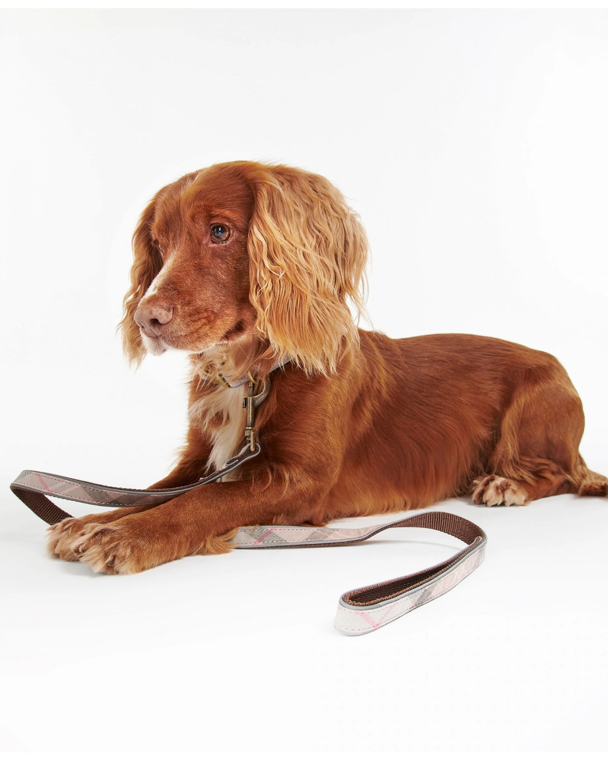 Barbour Reflective Tartan Dog Lead - Image 7