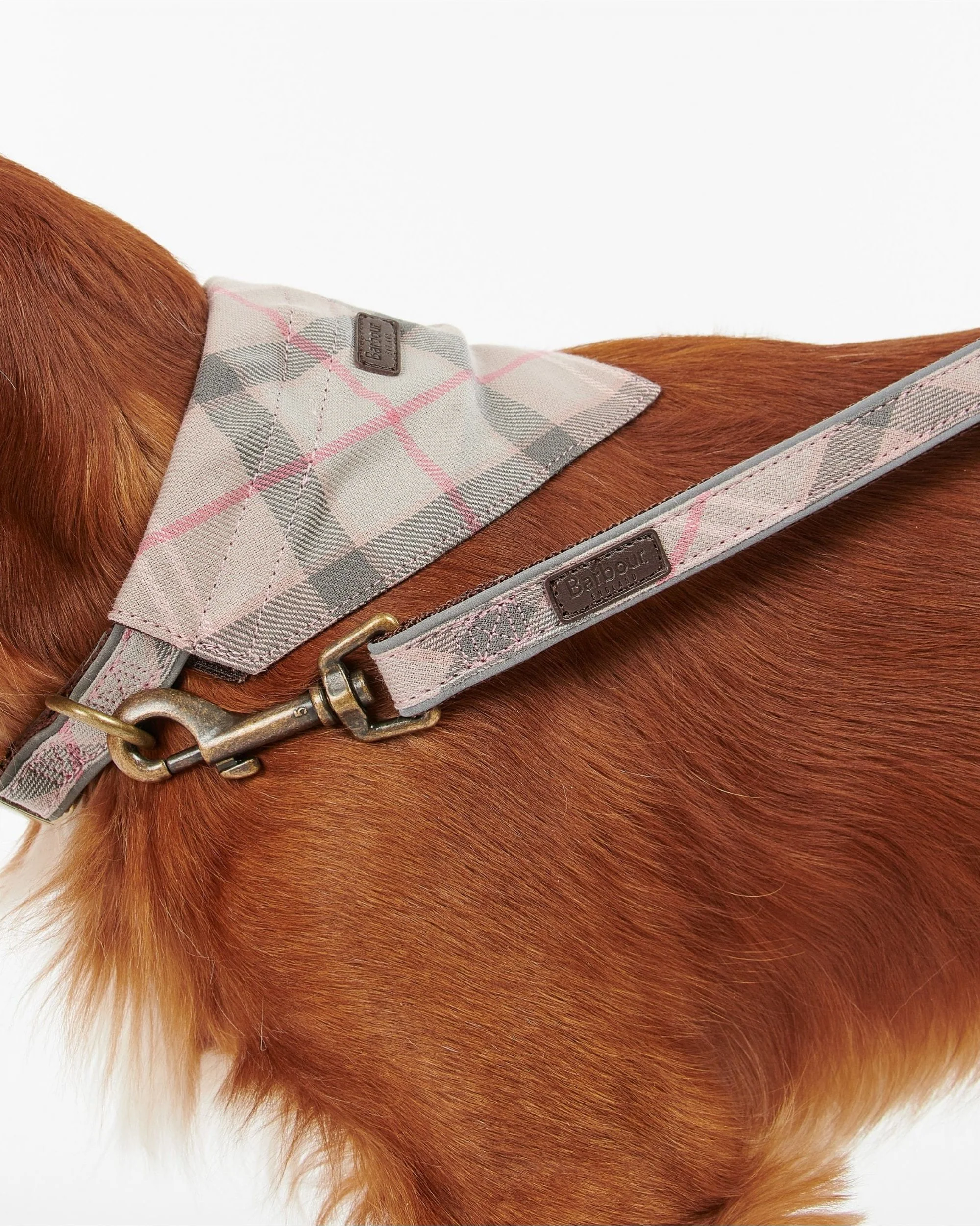 Barbour Reflective Tartan Dog Lead - Image 9