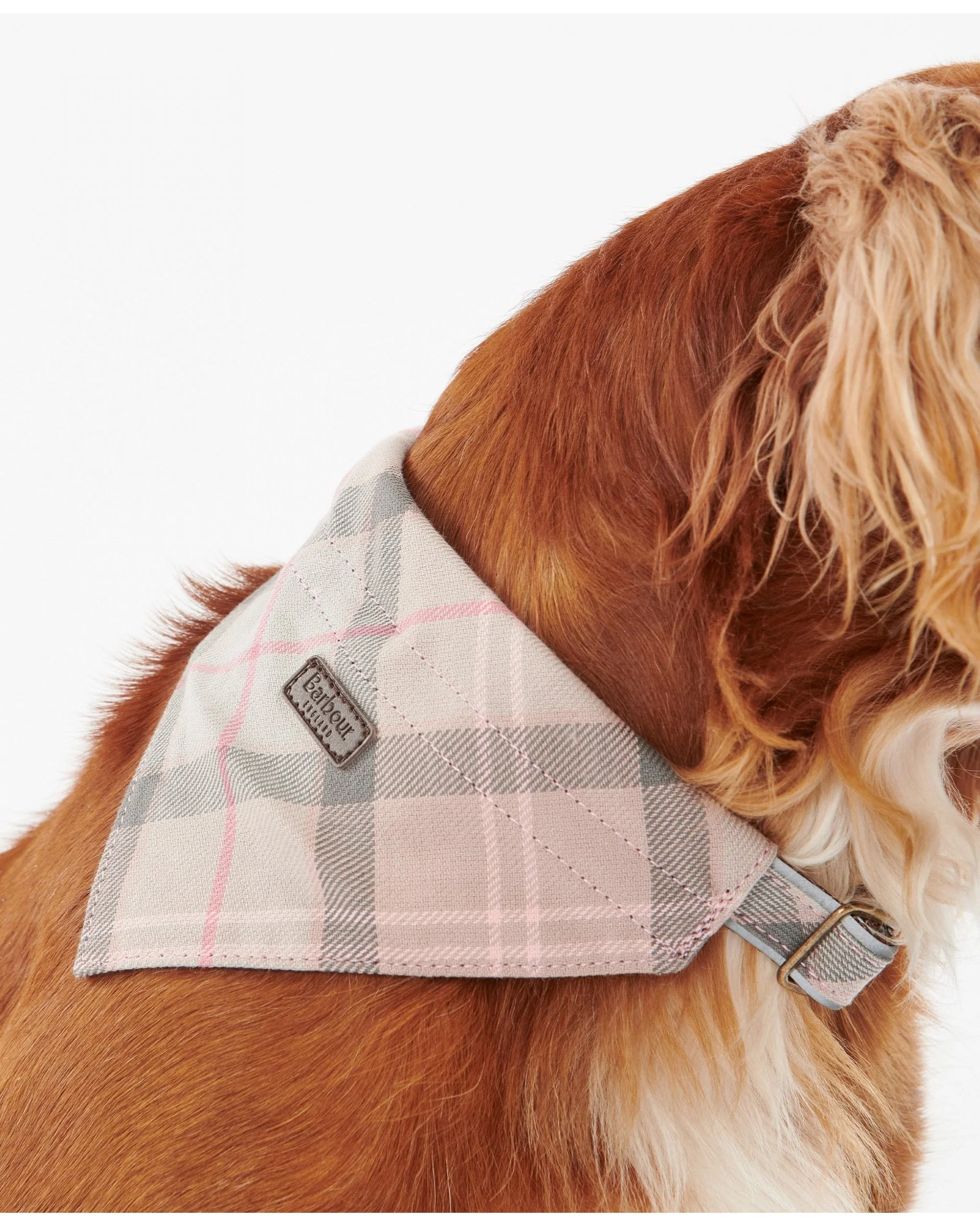 Barbour Tartan Dog Bandana - Image 14