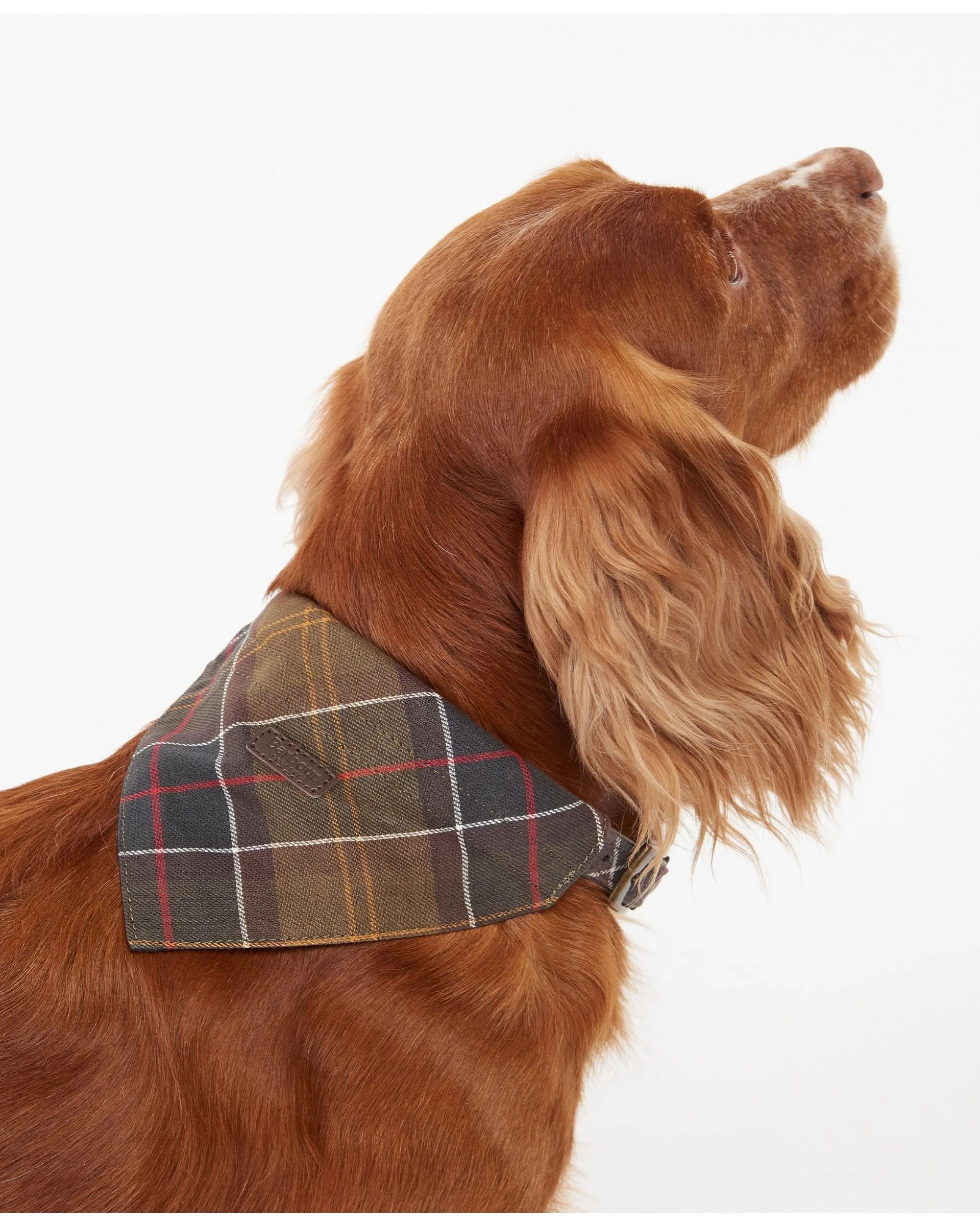 Barbour Tartan Dog Bandana - Image 8