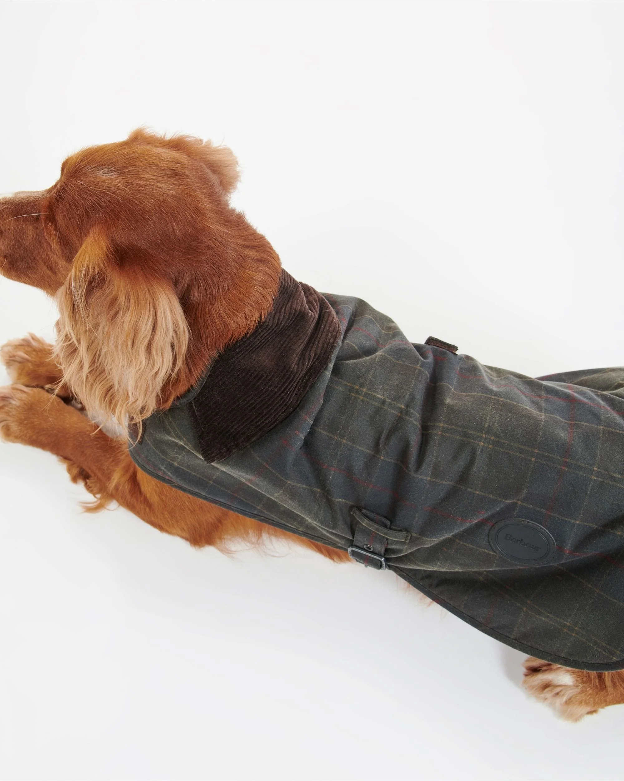 Tartan Wax Dog Coat - Image 3