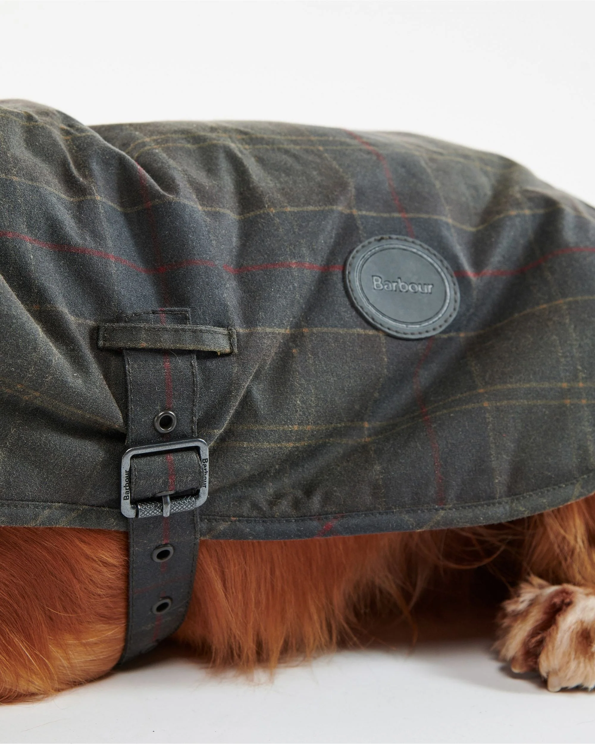 Tartan Wax Dog Coat - Image 4