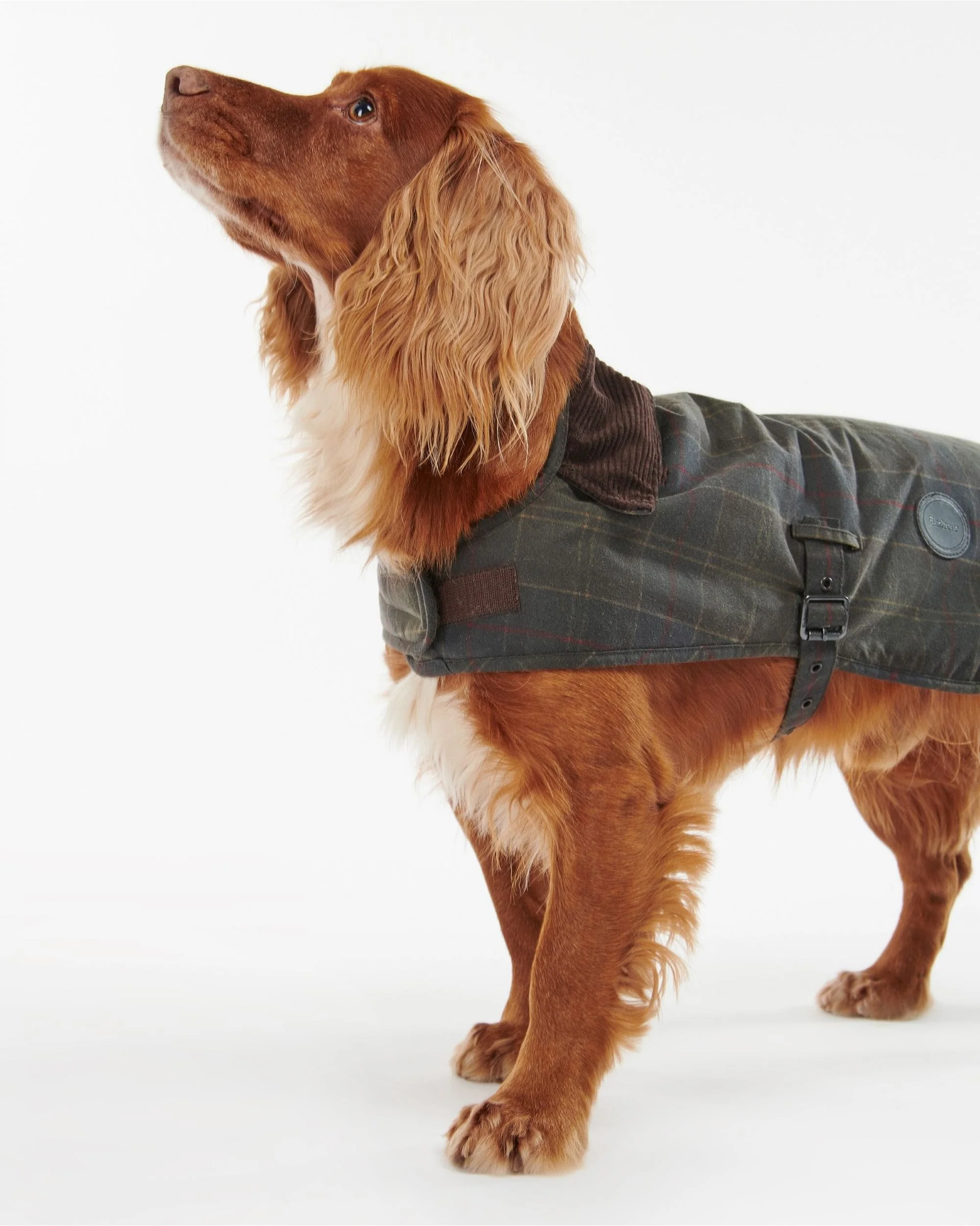 Tartan Wax Dog Coat - Image 5