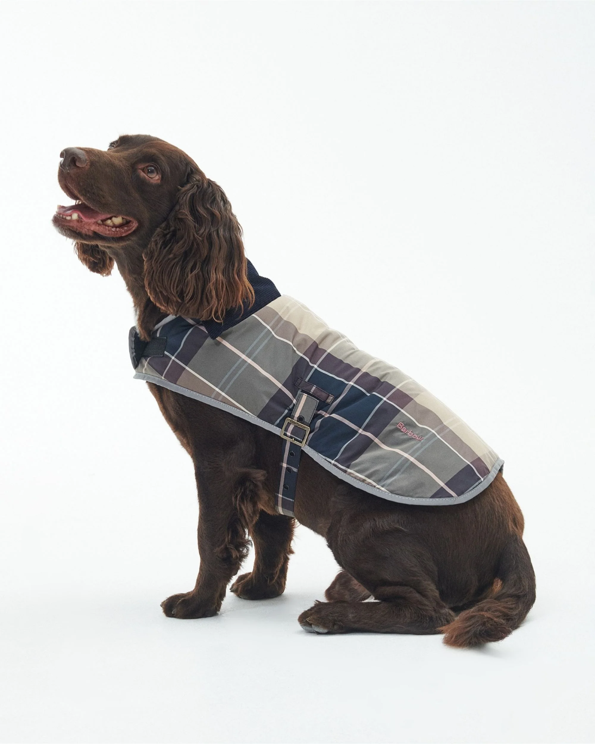 Wetherham Tartan Dog Coat - Image 3