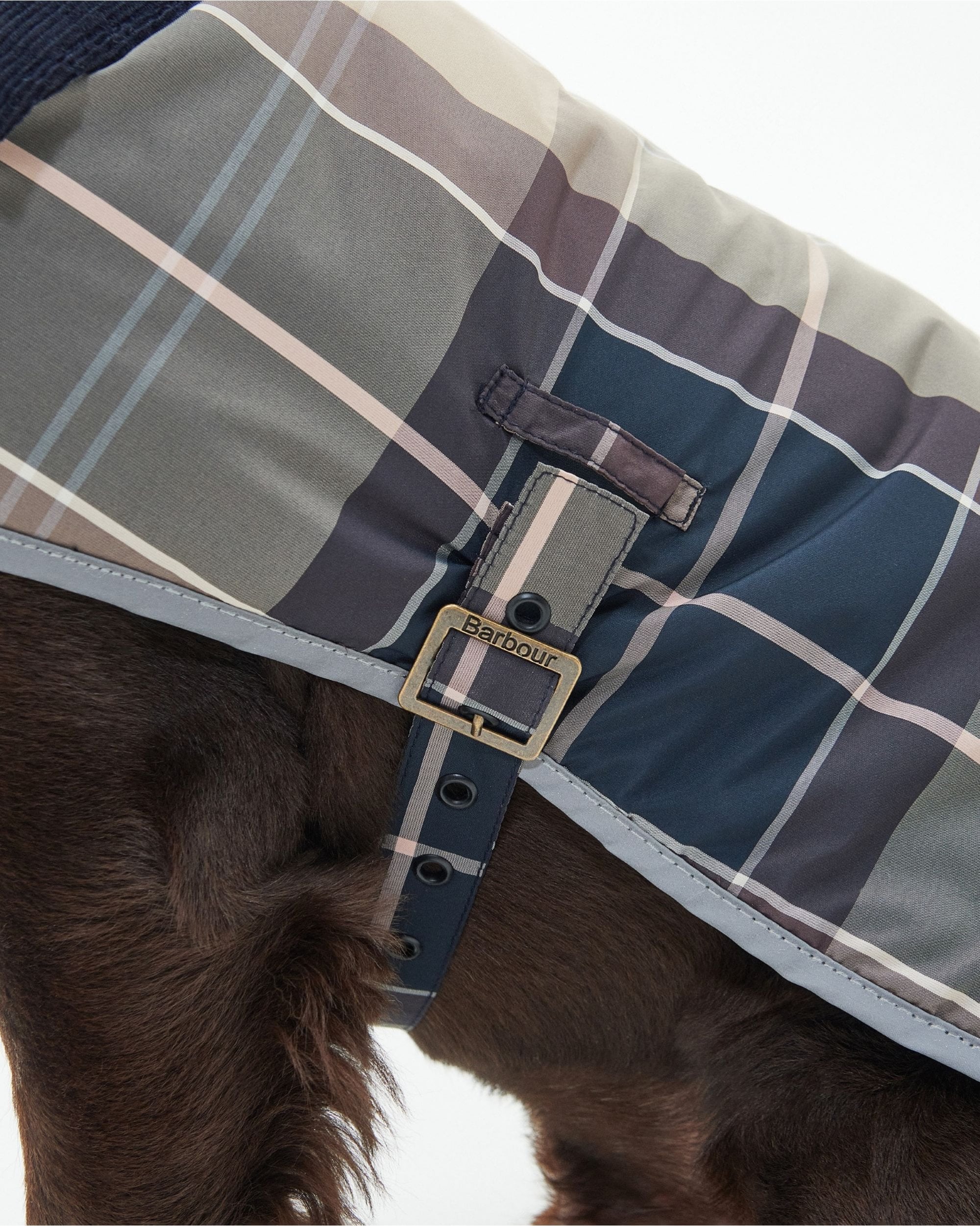 Wetherham Tartan Dog Coat - Image 4