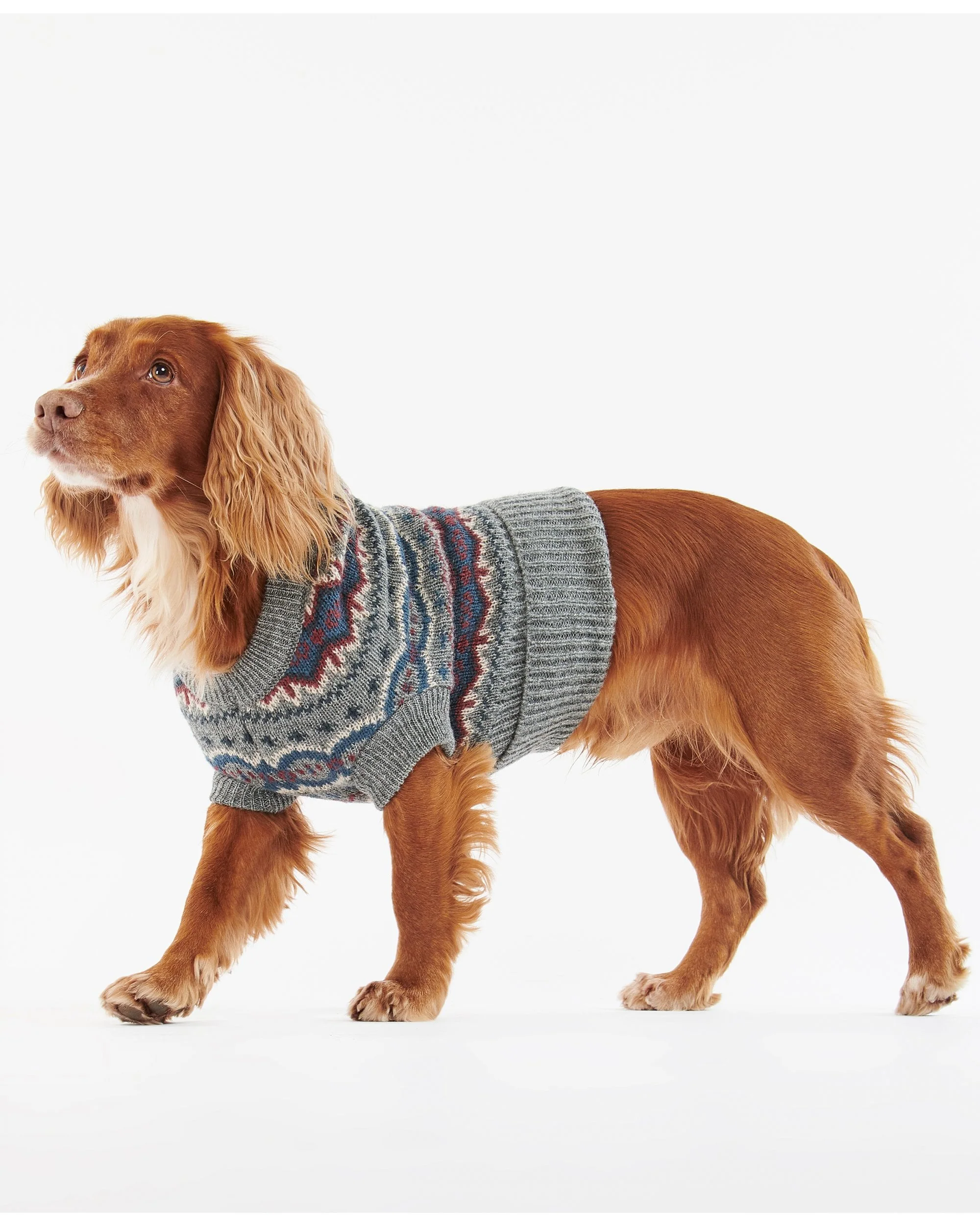 Case Fairisle Dog Jumper - Image 11