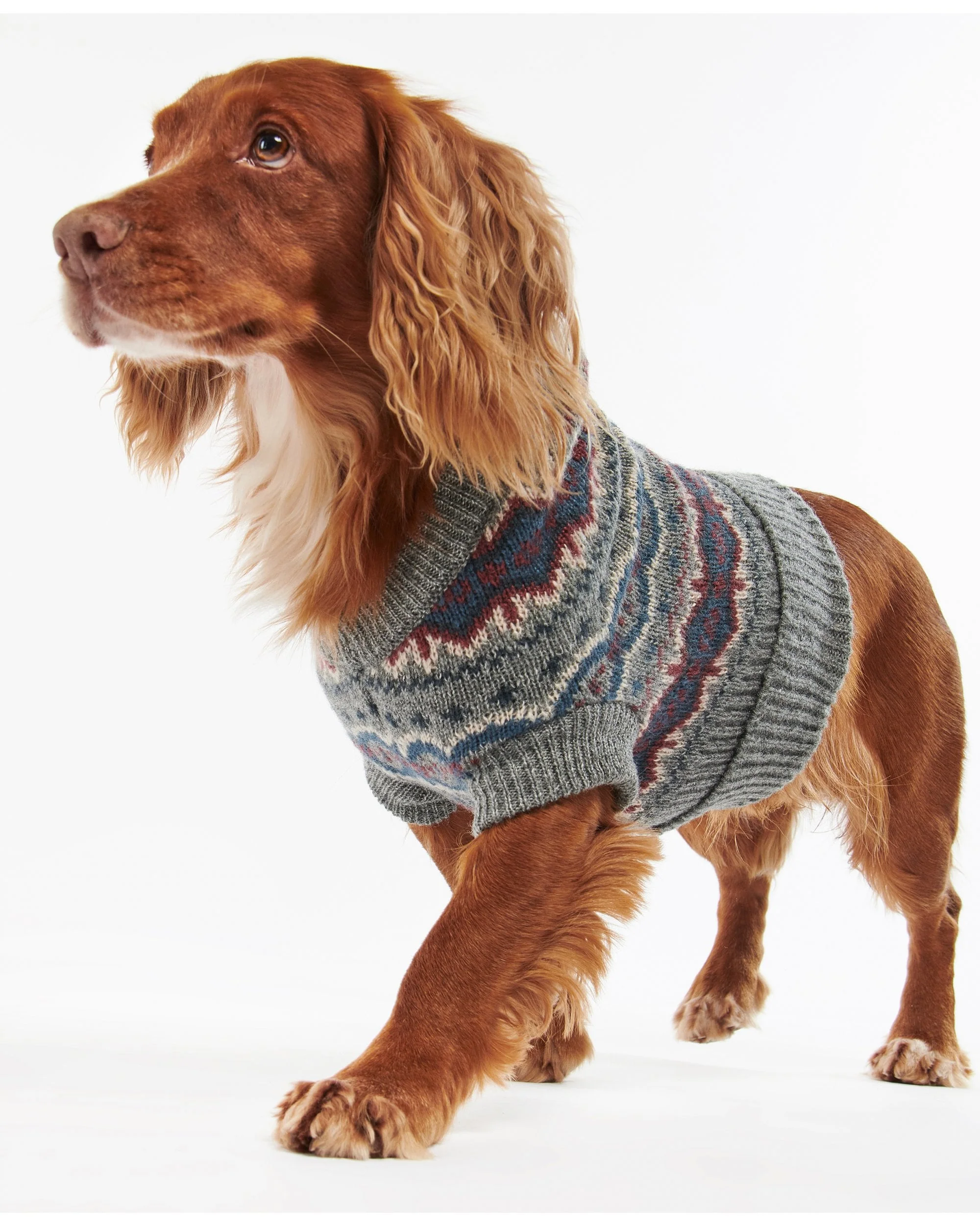 Case Fairisle Dog Jumper - Image 23