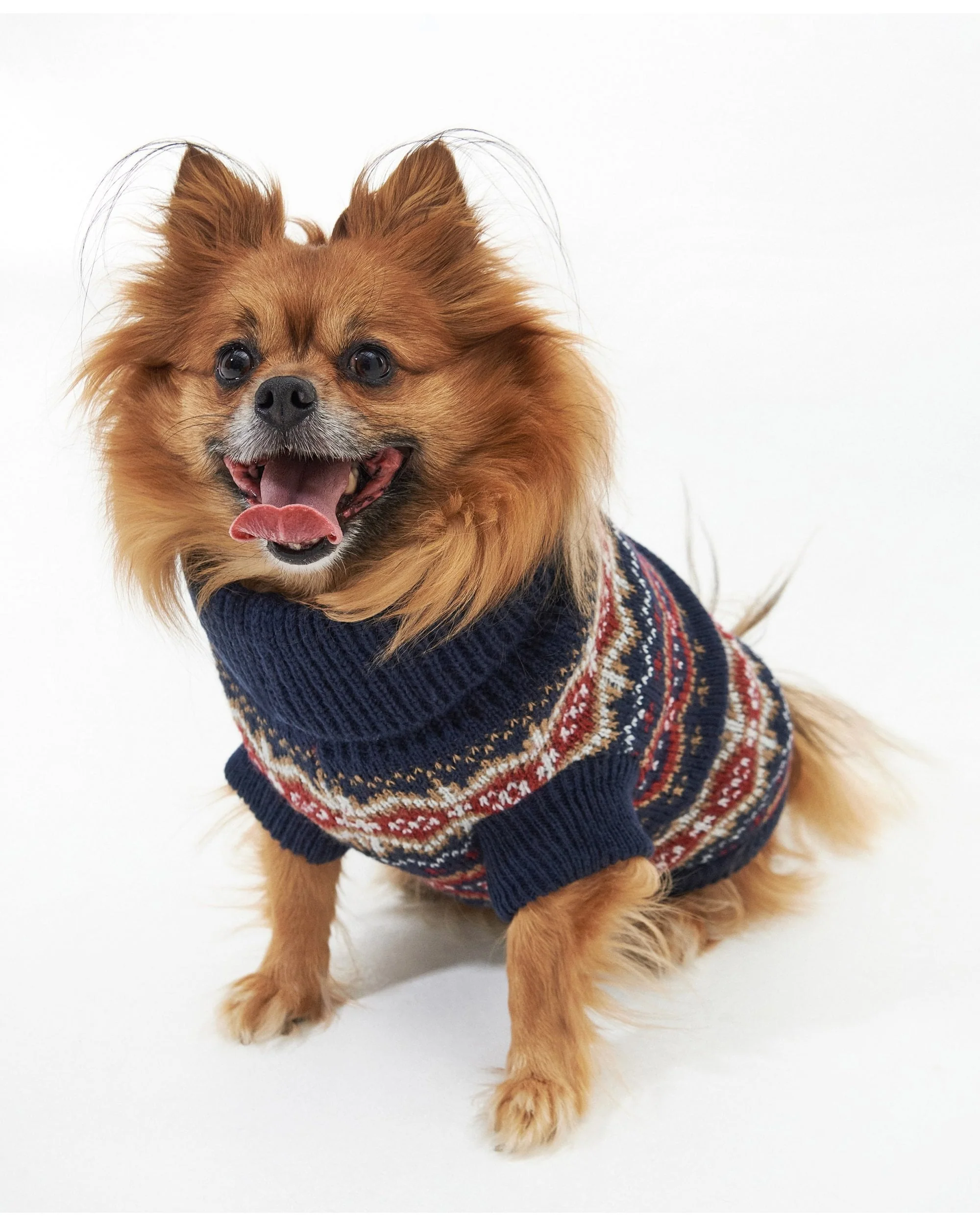 Case Fairisle Dog Jumper - Image 25