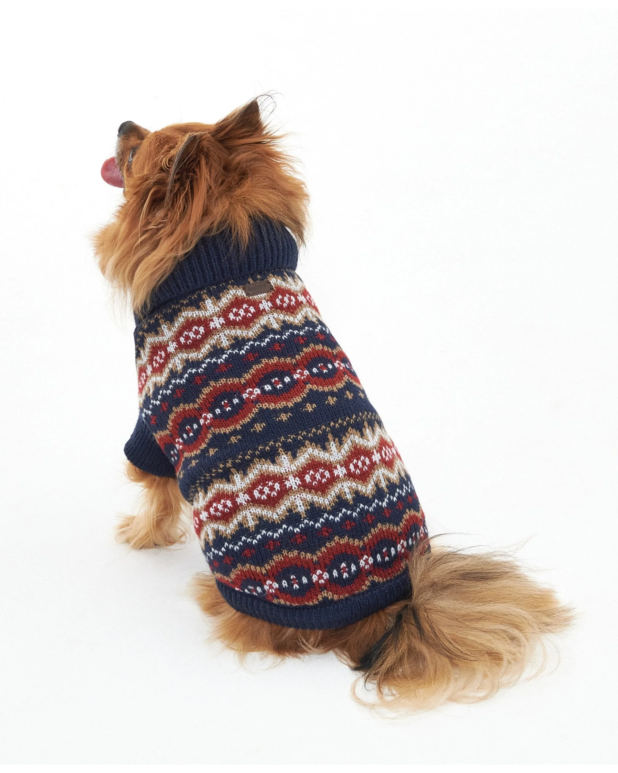 Case Fairisle Dog Jumper - Image 5