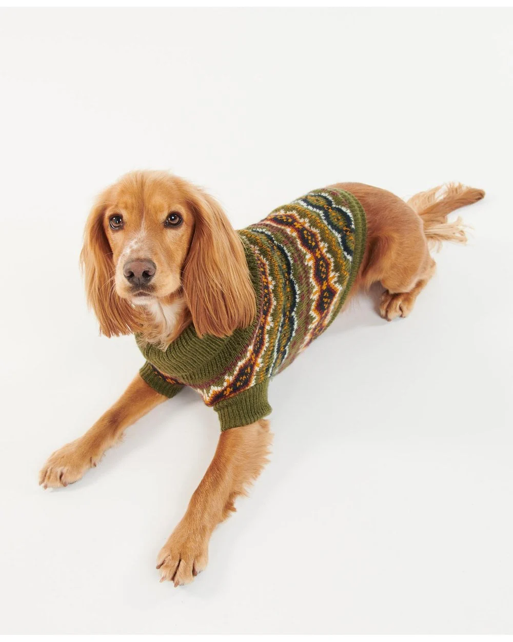 Case Fairisle Dog Jumper - Image 7