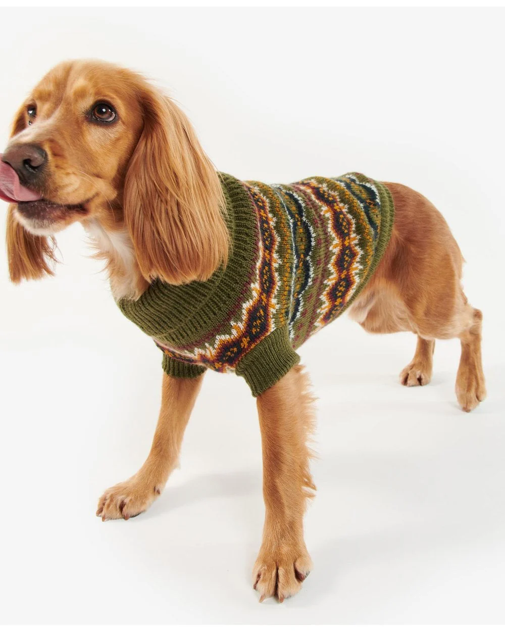 Case Fairisle Dog Jumper - Image 9