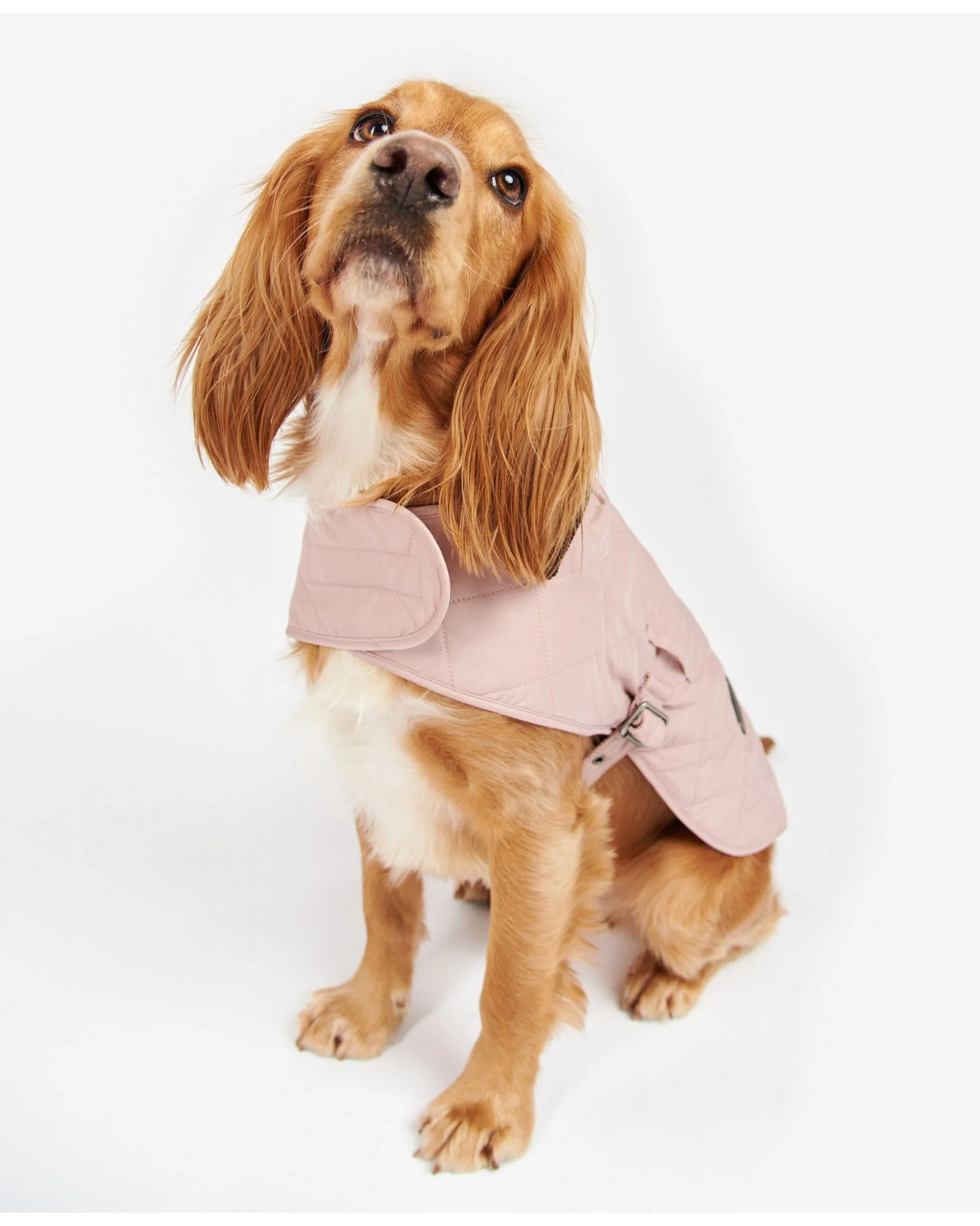 Barbour Quilted Dog Coat - Image 10