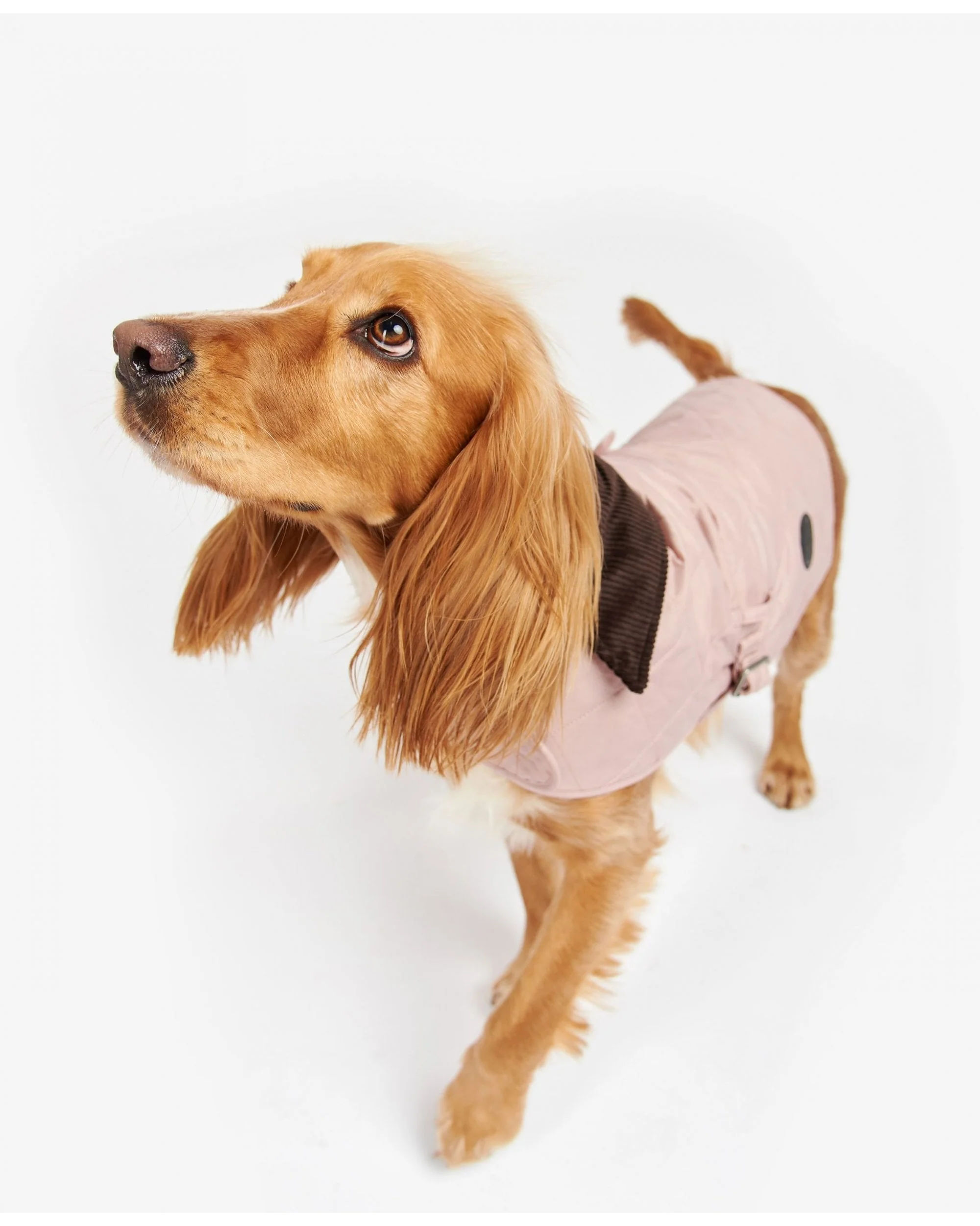 Barbour Quilted Dog Coat - Image 3