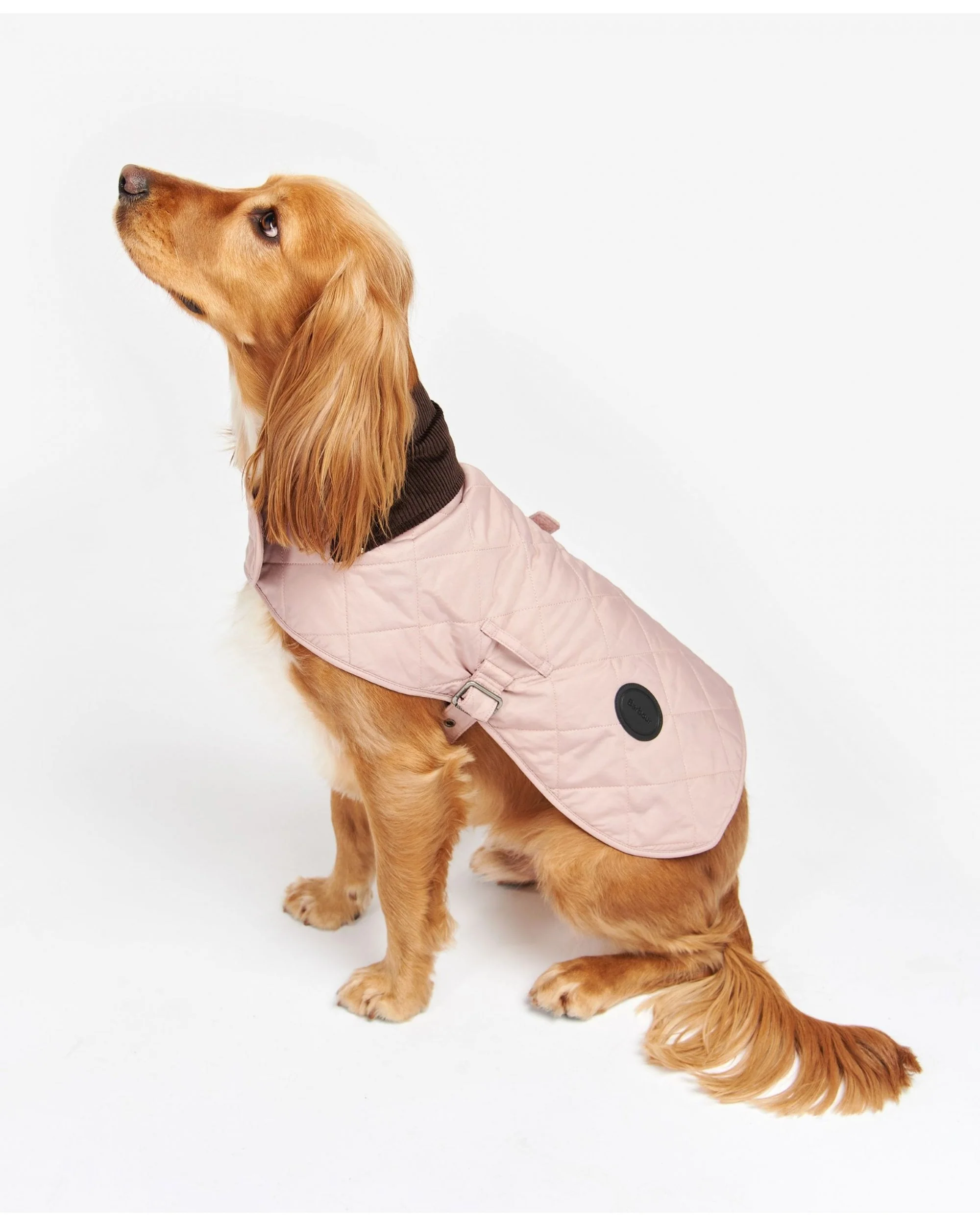 Barbour Quilted Dog Coat - Image 9